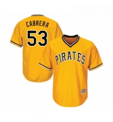 Youth Pittsburgh Pirates 53 Melky Cabrera Replica Gold Alternate Cool Base Baseball Jersey Youth Pittsburgh Pirates 53 Melky Cabrera Replica Gold Alternate Cool Base Baseball Jersey